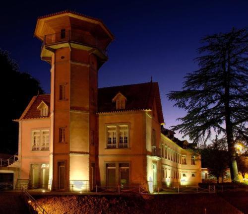 Palace Hotel & Spa - Termas De Sao Vicente Penafiel Dış mekan fotoğraf